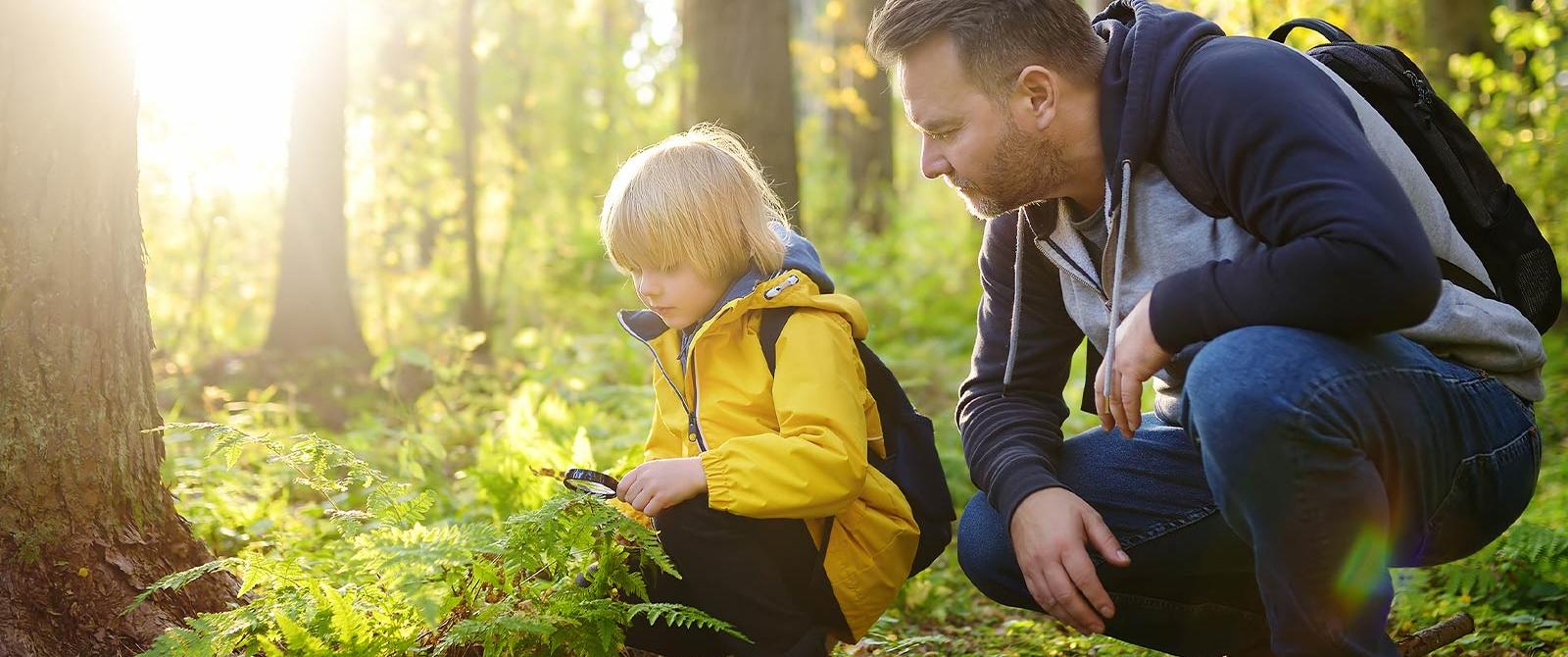 Activités éco responsables pour des vacances écologiques